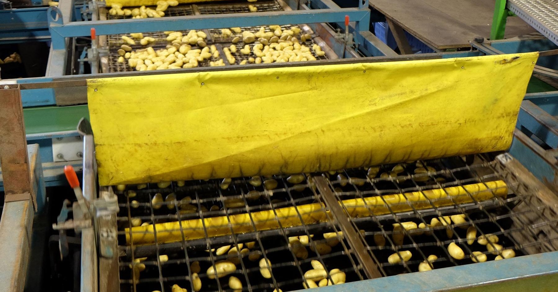 Mechanical potato graders